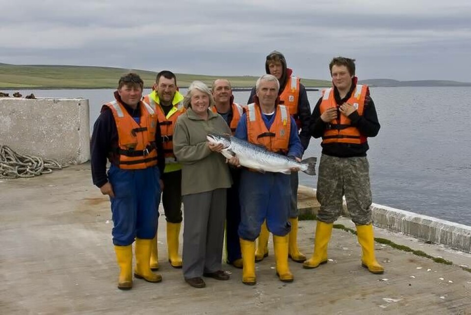 Scottish Sea Farms utvider