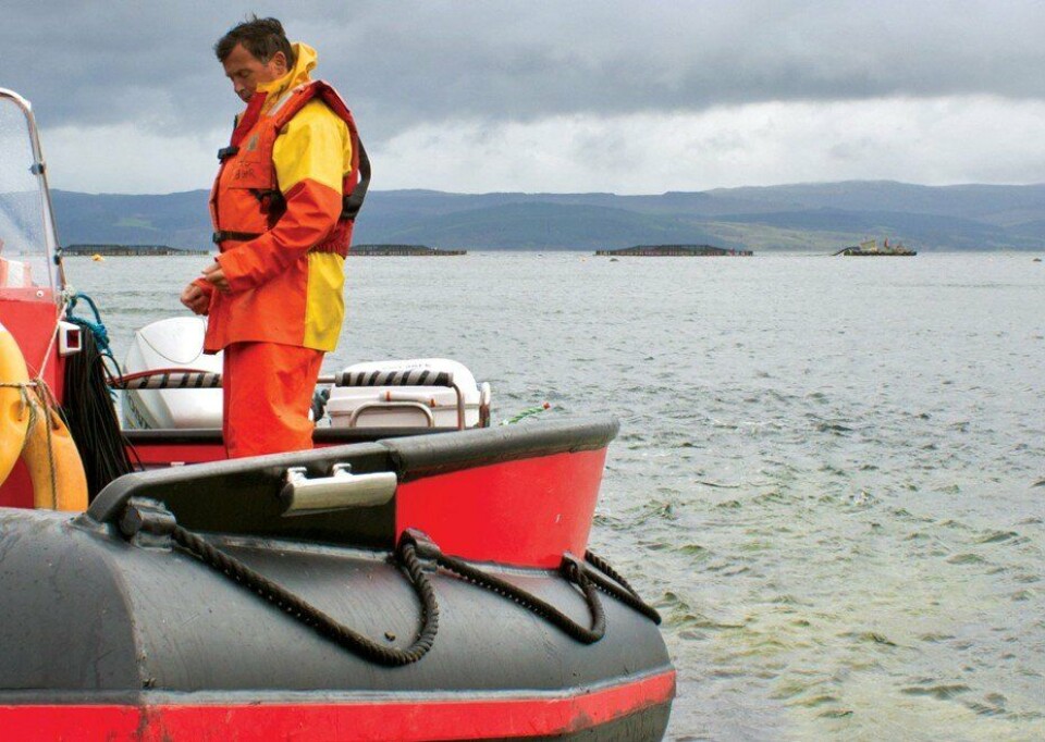 Foto: The Scottish Salmon Company Foto: The Scottish Salmon Company