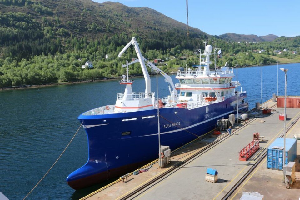 Bløgge og slaktebåten “Aqua Merdø” ble overlevert til Dess Aquaculture 24. mai. Foto: Andrea Bærland.