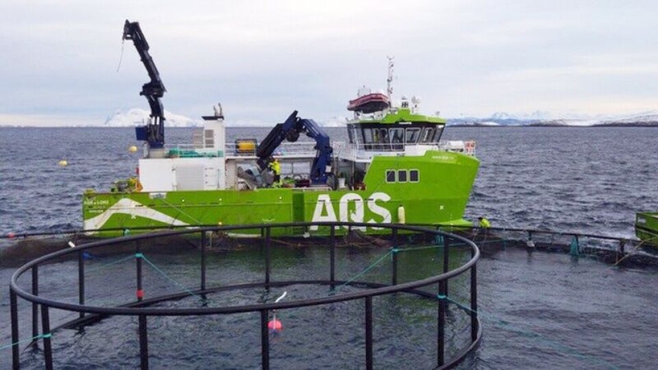 Bruken av badmidler mot lakslus har gått dramatisk ned de siste årene. Mengden med hydrogenperoksid var i 2017 under en fjerdedel av hva det var i 2015. Illustrasjonsfoto: AQS.
