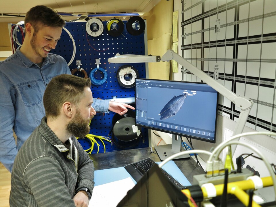 Thomas Norum Ur t.v og Atle Krogstad Berg t.h verifiserer en 3D-scan gjort av laks. Foto: Sealab.