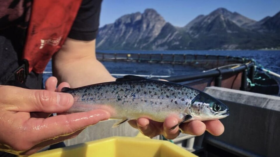 Tekna sier de er svært glad for orienteringen og den konklusjonen regjeringen har falt ned på. Foto: Tekna