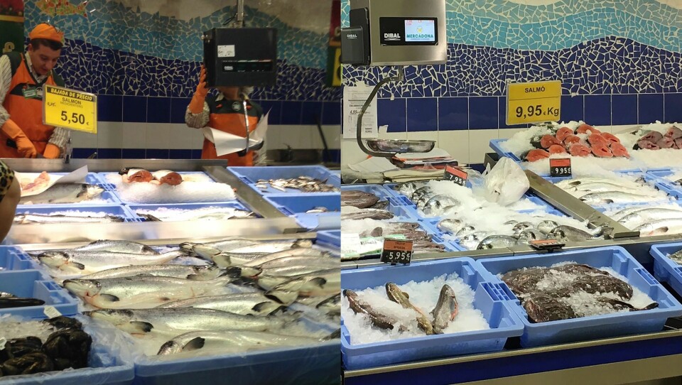 Mercadona-kjeden har 37 prosent markedsandel for laks i Spania. Bildene viser at laksens plass i fiskedisken er redusert i et av deres supermarkeder. Mens laksen ble solgt for 5,50 Euro i 2014 var prisen 9,95 Euro i 2016. Foto:Norges Sjømatråd.