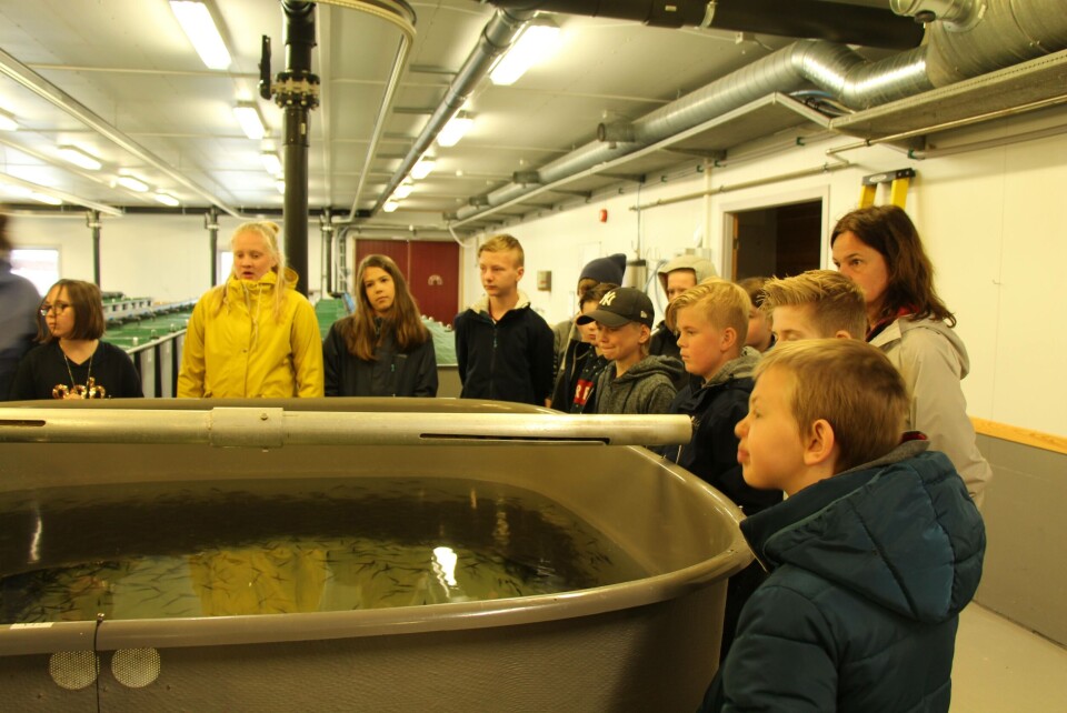 Elevene fra Hegglandsdalen skole fikk et innblikk i hva SalmoBreed gjør i forhold til genetikk og biologi, og hvor mye matte som faktisk inngår i den daglige driften til rognprodusenten. Foto: SalmoBreed.