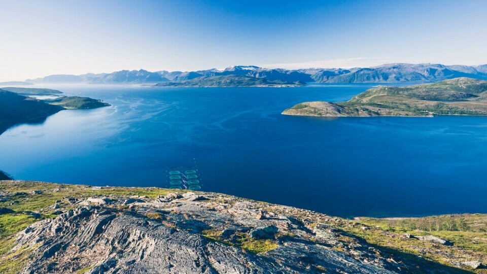 Oppdrettsanlegg i fjorden