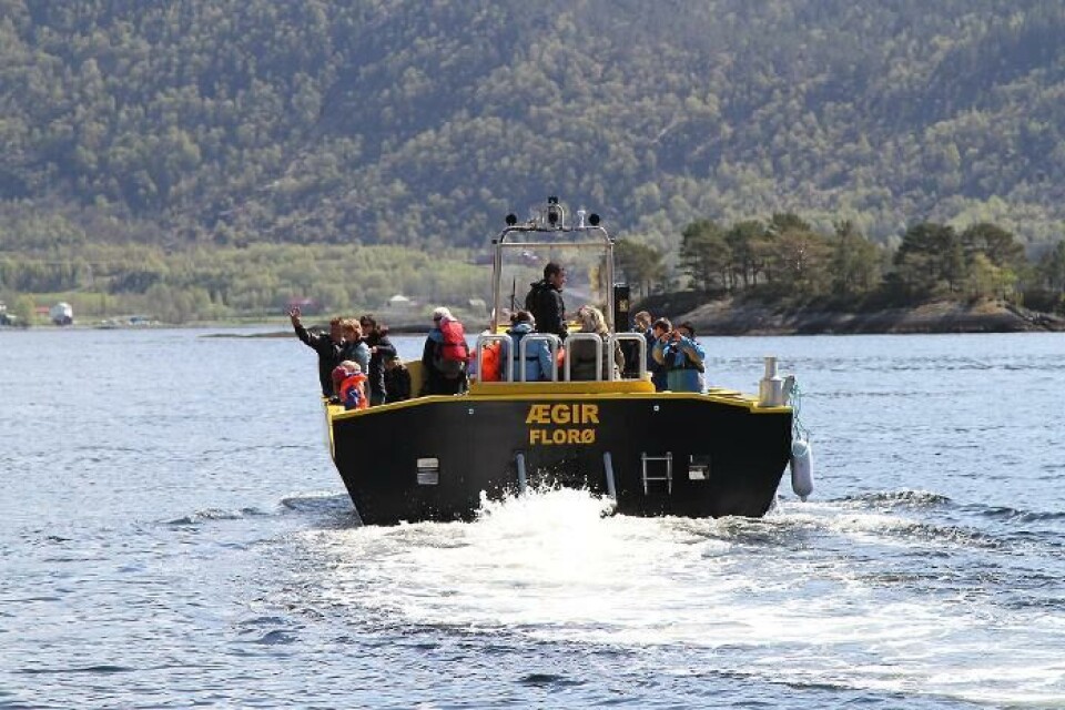 Frå open dag på Steinvik fiskefarm. Foto: Steinvik Fiskefarm. Frå open dag på Steinvik fiskefarm. Foto: Steinvik Fiskefarm.