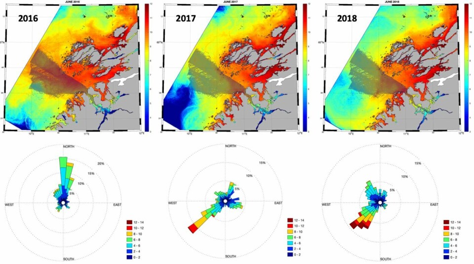 Figuren viser spredning av lakselus i juni i tre ulike år: 2016, 2017 og 2018. Grått området viser utvandringsruten til smolt fra Namsenelva. Spesielt i 2016 overlapper dette gråe området med lakselus (rød farge), dermed er det høyere risiko for dødelighet hos laksesmolten dette året sammenlignet med de andre årene. Under kartene er en oversikt over hvor vinden kom fra det enkelte året. I 2016 var det mest vind fra nord, mens i 2017 og 2018 kom vinden fra sørøst. Klikk for større bilde.