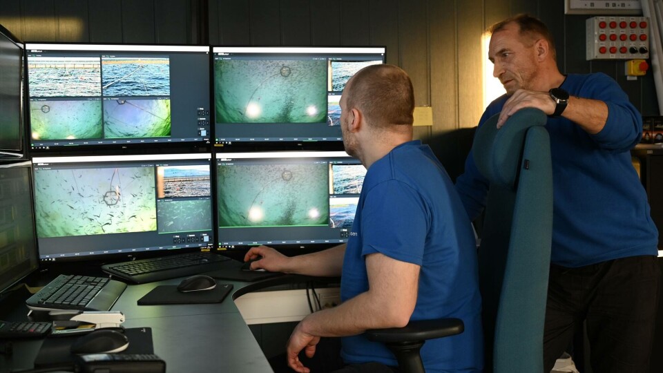 Røkter Lars André Johnsen (til venstre) og driftsleder Michael Olsen studerer videobildene av fisk som fôres gjennom kontrollsystemet AKVAconnect 4.1. Foto: Akva Group.