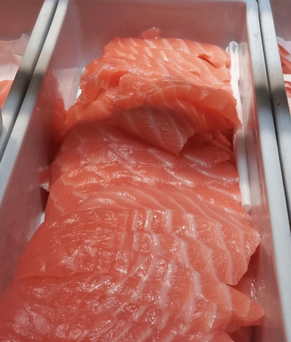 Det er hittil i år eksportert laks for en verdi av  22,9 milliarder kroner. Foto: Harrieth Lundberg