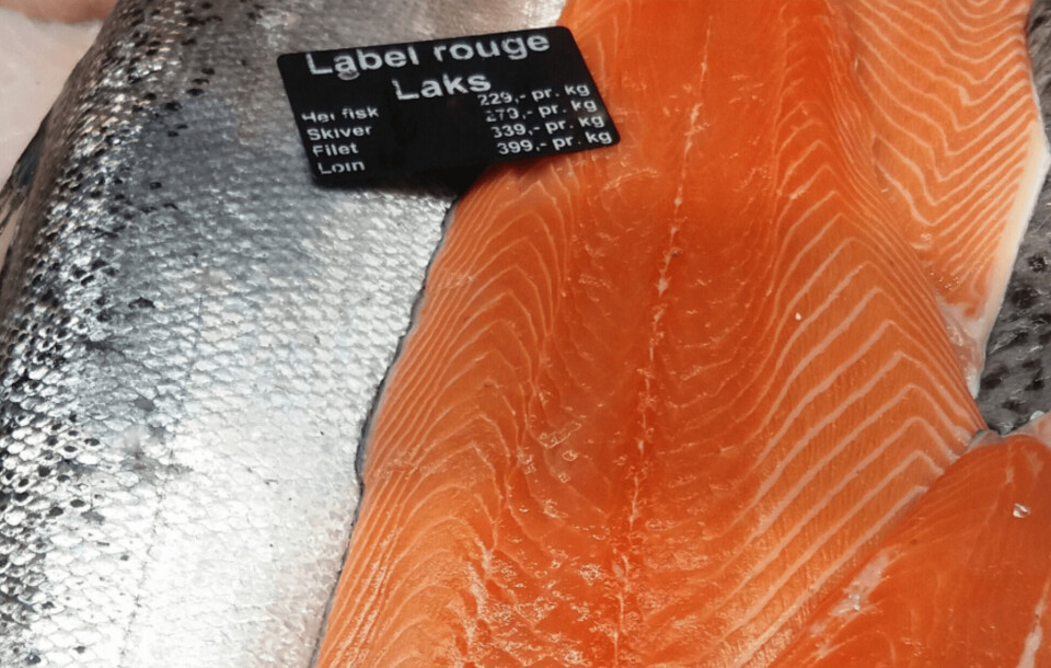 Norges Sjømatråd rapporterer om rekordmåned for laks sammenlignet med april i fjor. Foto: Harrieth Lundberg.