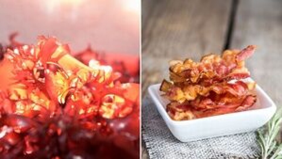 Si farvel til svinebacon. Havets bacon er her! Foto: Oregon State University