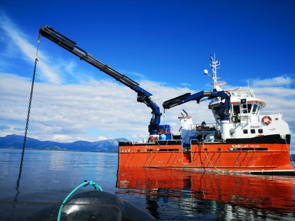 «Aqua Supporter» arbeider med utlegg av fortøyninger.  Foto: Nærøysund Aquaservice AS