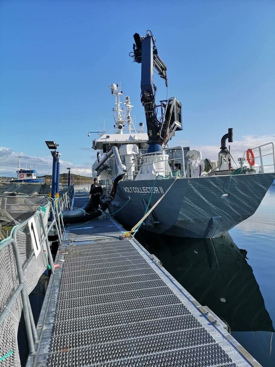 Fordelene med bløggebåt er at håndteringen av fisken reduseres, slik at fisken opplever mindre stress. Dette vil kunne bidra til økt dyrevelferd og bedre kvalitet på fisken. I tillegg går båtene som tette skip, slik at smittefaren nærmest elimineres. Foto: Optimar. Fordelene med bløggebåt er at håndteringen av fisken reduseres, slik at fisken opplever mindre stress. Dette vil kunne bidra til økt dyrevelferd og bedre kvalitet på fisken. I tillegg går båtene som tette skip, slik at smittefaren nærmest elimineres. Foto: Optimar.