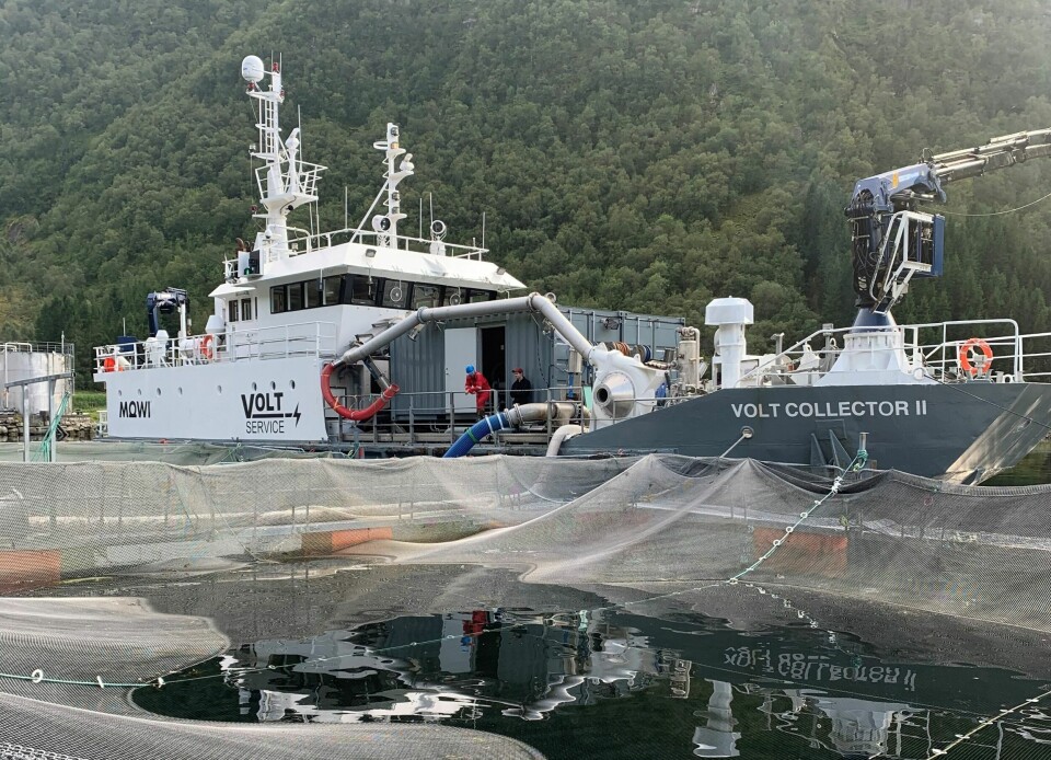 VOLT Services, et datterselskap av Remøy Management, har straks to bløggebåter til i sin flåte. VOLT Collector II er en mindre, helautomatisk beredskaps-bløggebåt, som primært brukes til håndtering og utsortering av fisk. Foto: Optimar