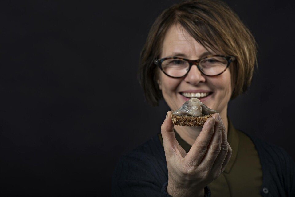Ved å spise ren sild får du i deg masse omega-3 og ketolinsyre. Kanskje har silda flere stoffer vi i dag ikke kjenner virkningen til? Seniorforsker Bente Ruyter i Nofima har avslørt en av hemmelighetene. Foto: Jon-Are Berg-Jacobsen/Nofima