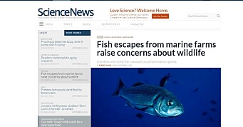 Stor internasjonal artikkel: Rømt fisk fra global akvakultur skaper bekymring hos forskerne