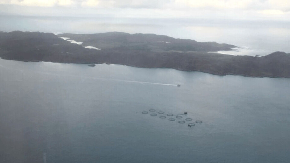 Mowi sin lokalitet på Colonsay, Skottland. Foto: Mowi Skottland