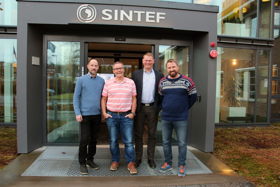Slår seg sammen (fra venstre): Preben Aune (adm. dir. i Kystlab AS), Jack Ødegård (styreleder i SINTEF Molab AS), Eigil Dåbakk (adm. dir. i SINTEF Molab AS), Bjørn-Vegard Løvik (styreleder i Kystlab AS).