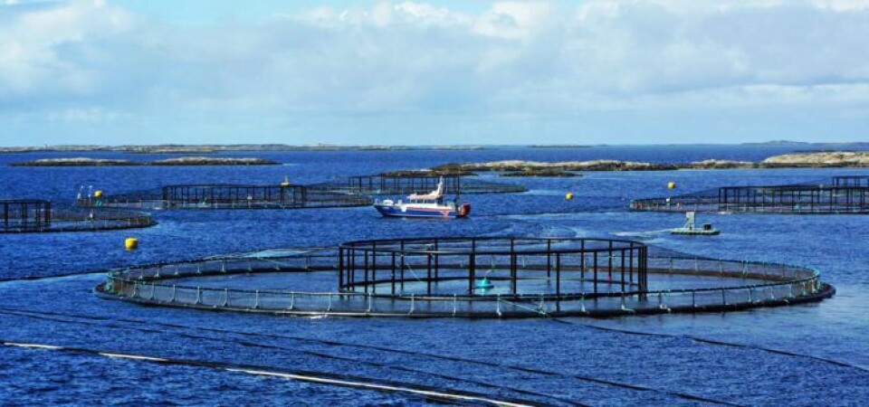 Sintef har kjøpt alle aksjene i Aquaculture Egineering (ACE). Foto: ACE.