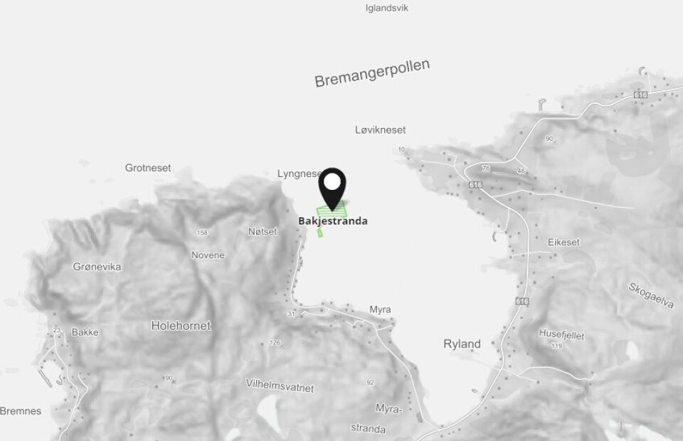 Nordfjord forsøksstasjon må trolig slakte all fisk. Illustrasjonsfoto: Barentswatch.