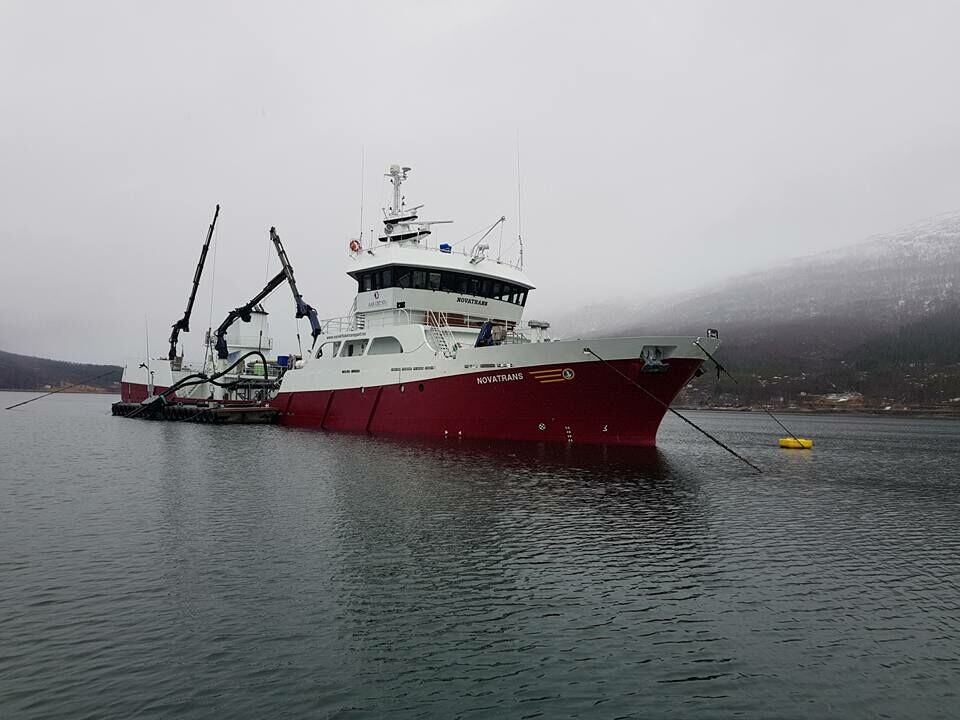 Brønnbåten Novatrans tok seg av transporten av storsmolten på 840 gram levert til Eidsfjord Sjøfarm. Her ser du lasting hos Sisomar. Foto: Sisomar. Brønnbåten Novatrans tok seg av transporten av storsmolten på 840 gram levert til Eidsfjord Sjøfarm. Her ser du lasting hos Sisomar. Foto: Sisomar.