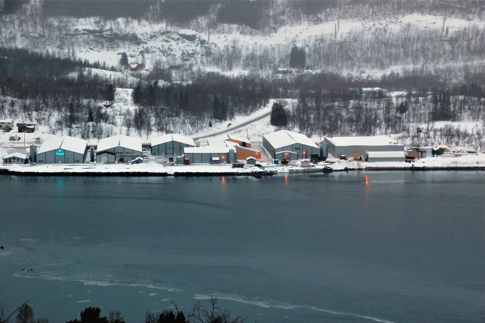 Sisomars anlegg vokser stadig. Her ser man hall A-G, der hall G er lengst til høyre i bildet med et lagertelt i forkant. Foto: Sisomar.