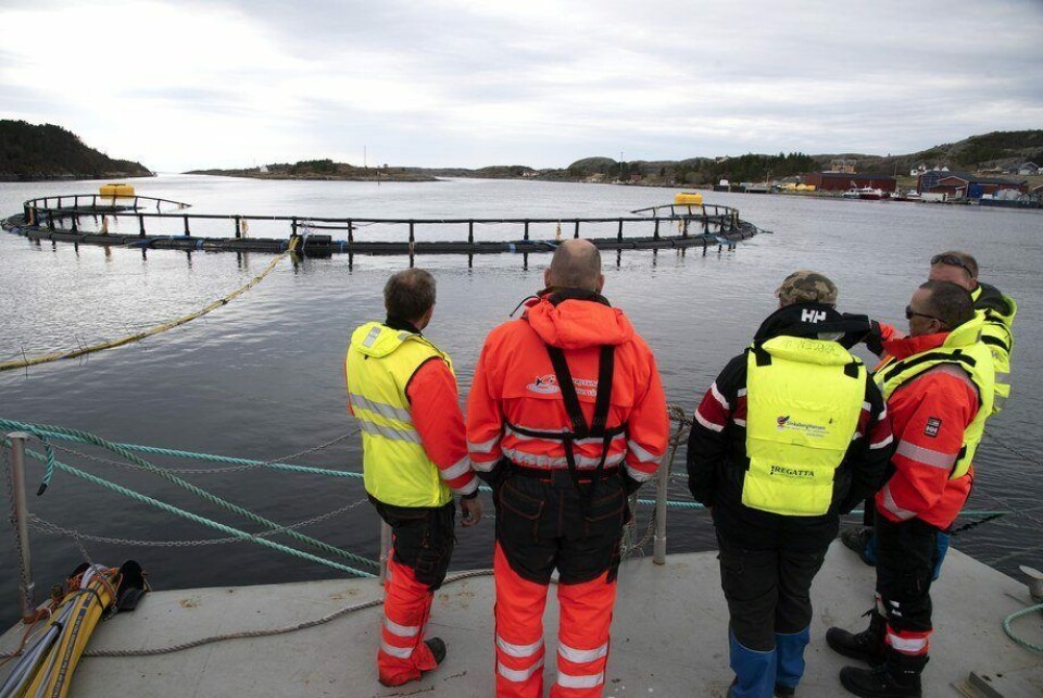 Prosjektteamet i diskusjon under testing av Atlantis Subsea Farming sitt utviklingskonsept. Foto: Atlantis Subsea Farming.