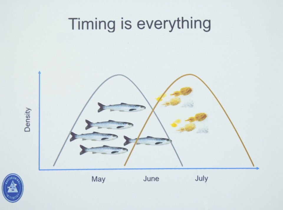 Thomas Bøhn fra Havforskningsinstituttet konkluderte med at «Timing betyr alt» da han formidlet resultater fra utsettingsforsøk fra etneelven i Hordaland. Kilde: Thomas Bøhn .