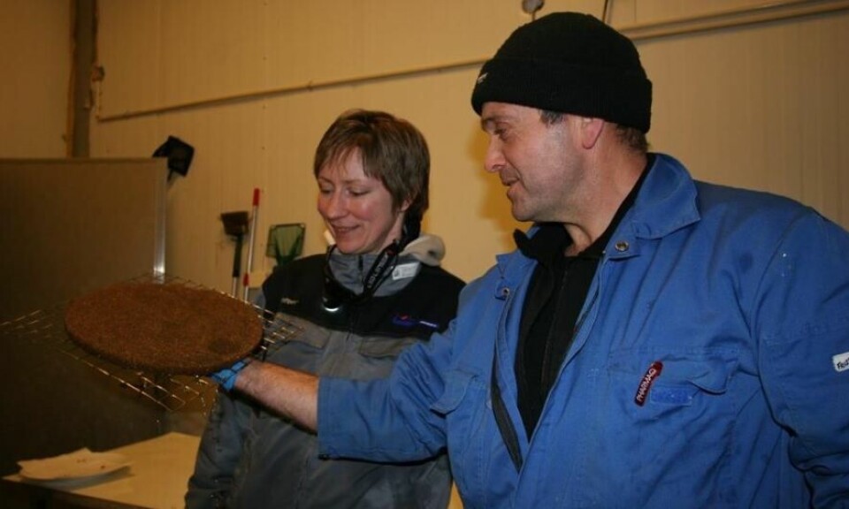 Driftsleder Kjartan Wiik med kollega Ann Kristin i Svelgen, Sogn og Fjordane. Foto: Steinvik rensefisk