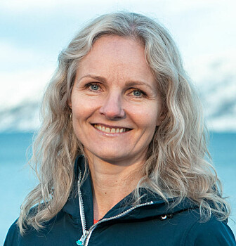 Astrid Vik Aam, kommunikasjonssjef i Cermaq, sier selskapet har gjenfangstet 31 fisk til nå.