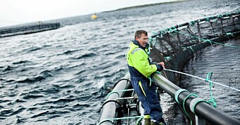 Sjømat Norge ønsker en mer fleksibel MTB