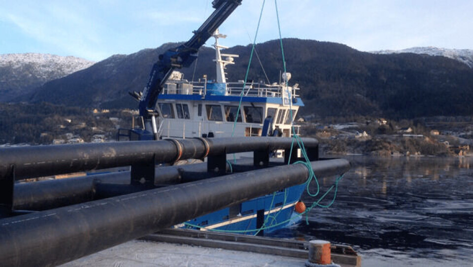Hordaland Rør har samarbeidet med Blom Fiskeoppdrett for å utvikle utstyr til Thermolicer. Foto: Sverre Heidal.