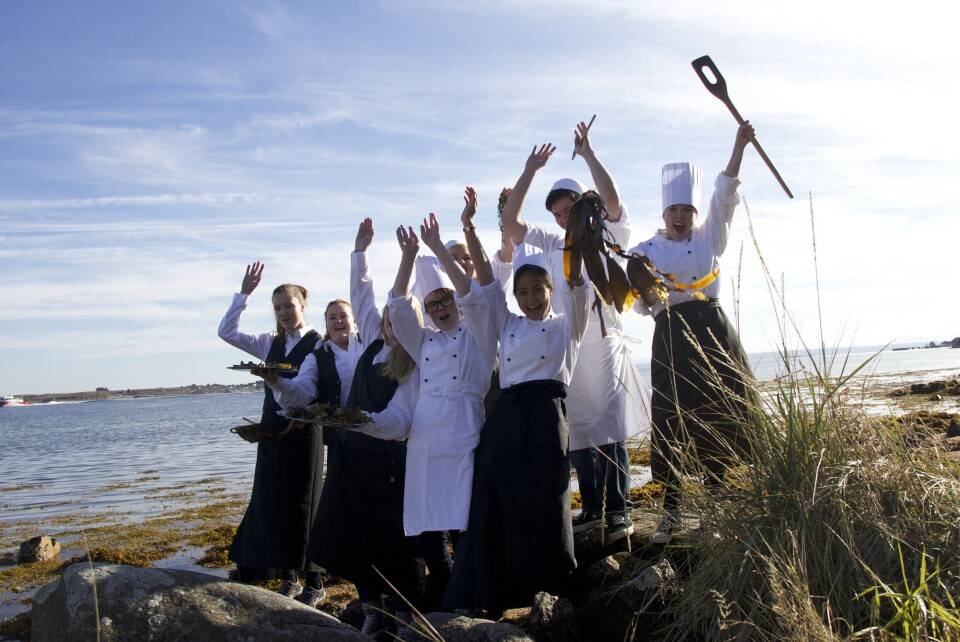 Unge kokker i fjæra jubler. Foto: Sett Sjøbein.