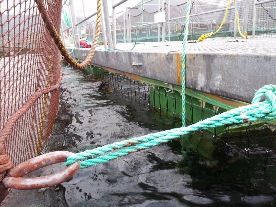 SFD Strømgjerde, Seafarm Development, Pulse Guard