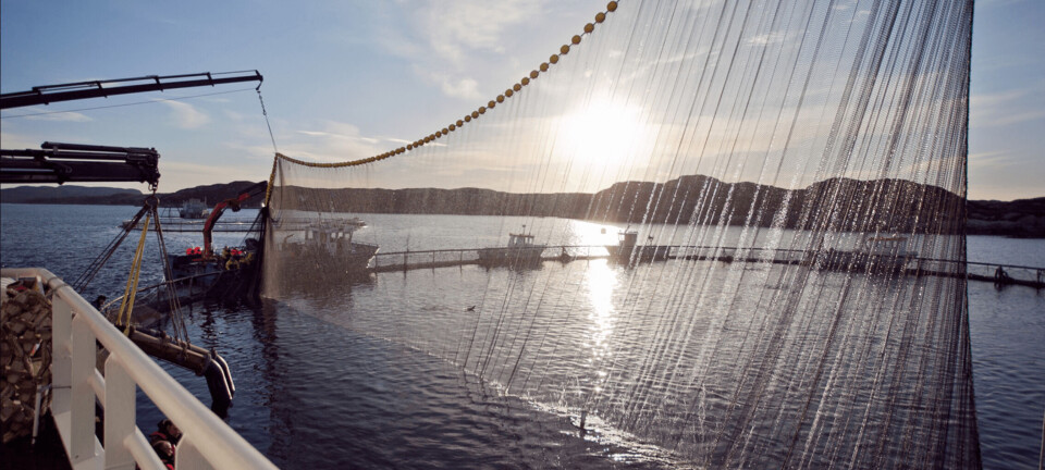 Vil gi unge i næringen en innføring i grunnrenteskatt