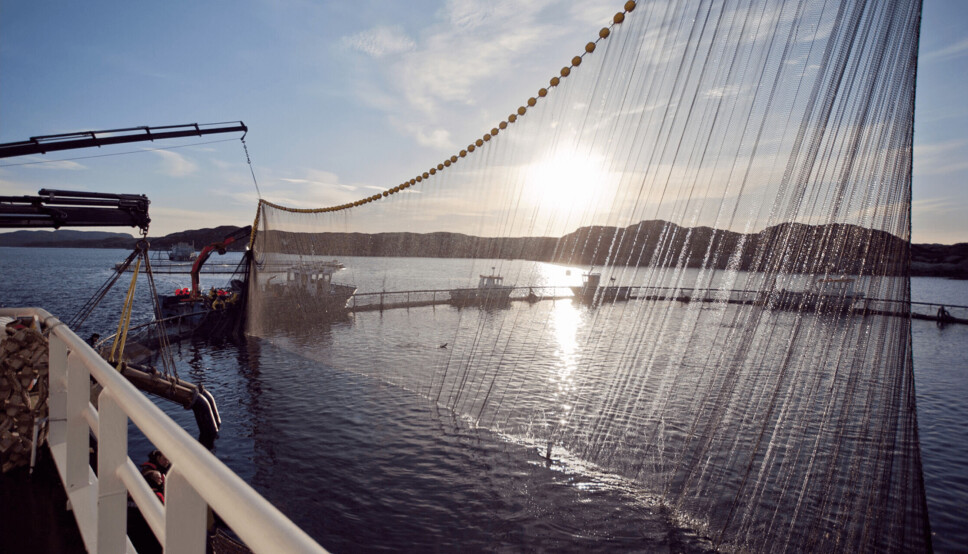 Arrangementet som avholdes er et samarbeid mellom Youngfish Vest og advokatfirmaet Thommessen.