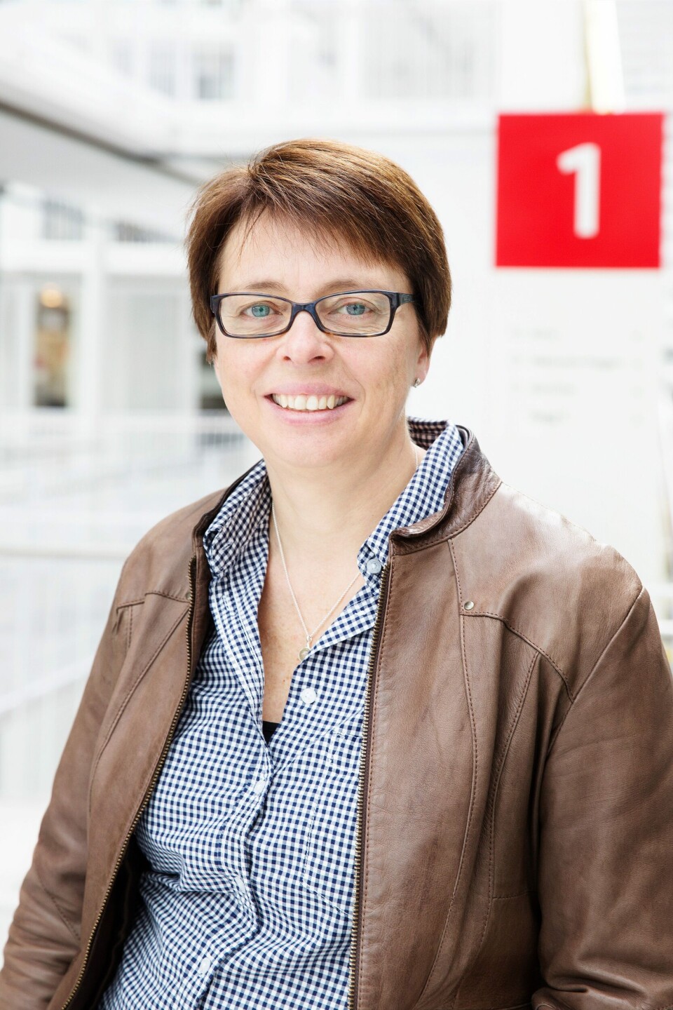 Inger Beate Hovi, forskningsleder Transportøkonomisk Institutt. Foto: TØI.