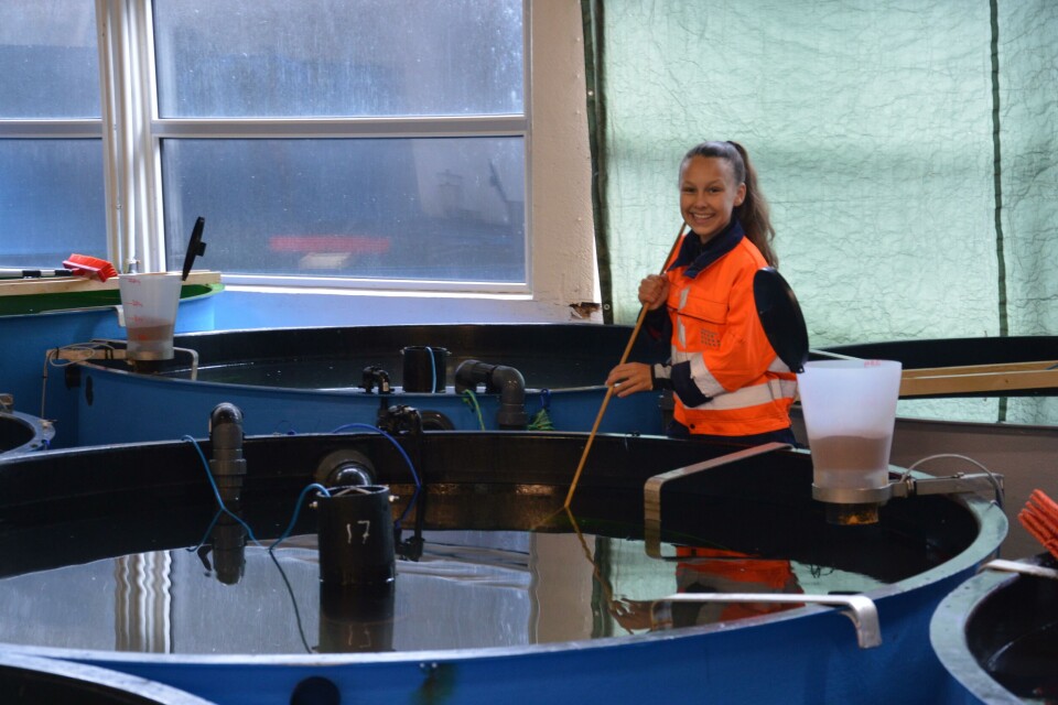 Amalie Sofie Skår trives i sommerjobben sin hos Austevoll Rensefisk. Foto: Ole Andreas Drønen.