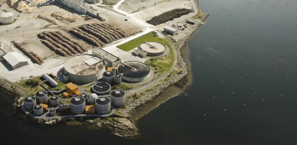Biokrafts anlegg på Skogn kan indirkete produsere fiskefôr for oppdrettsnæringen. Foto: Biokraft AS.