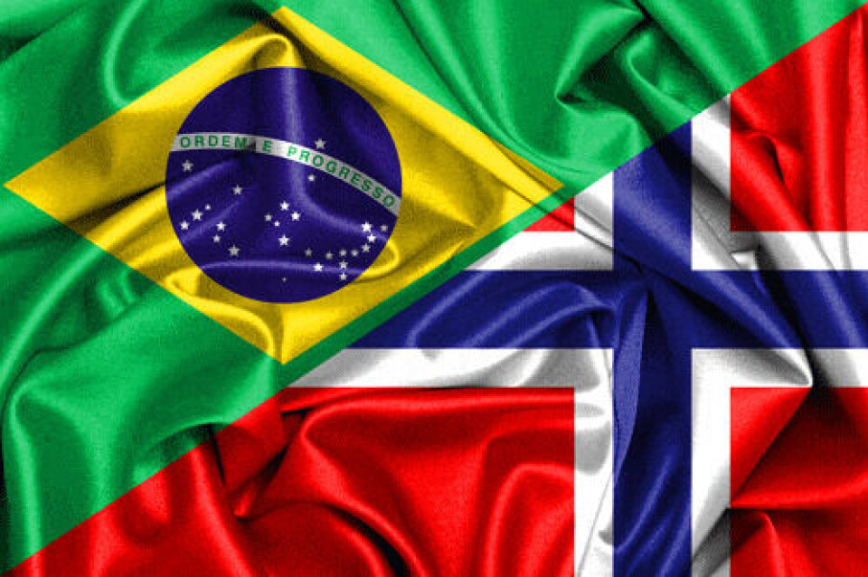 Brasil Norge, flagg