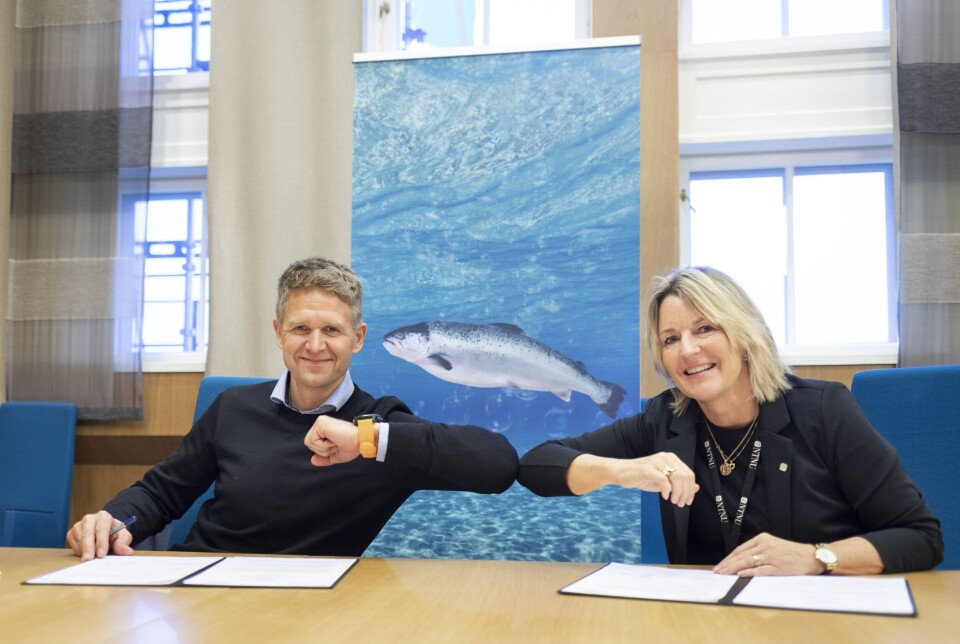 Inngikk avtale: Administrerende direktør Olav Andreas Ervik i SalMar Ocean AS og dekan Ingrid Schjølberg ved NTNUs Fakultet for informasjonsteknologi og elektroteknikk ser store muligheter i samarbeidet om å utvikle havbasert fiskeoppdrett. Foto: Thor Nielsen/NTNU