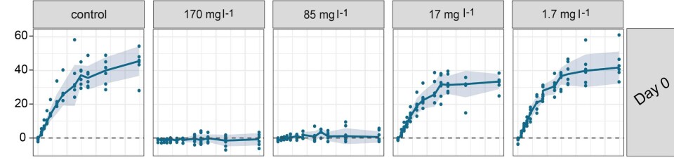 Taren sin oksygenproduksjon med stigande lysnivå og ulike lusemiddeldosar. Med dosen på 85 milligram døydde over halvparten av den eksponerte taren. Illustrasjon: Barbro Haugland.