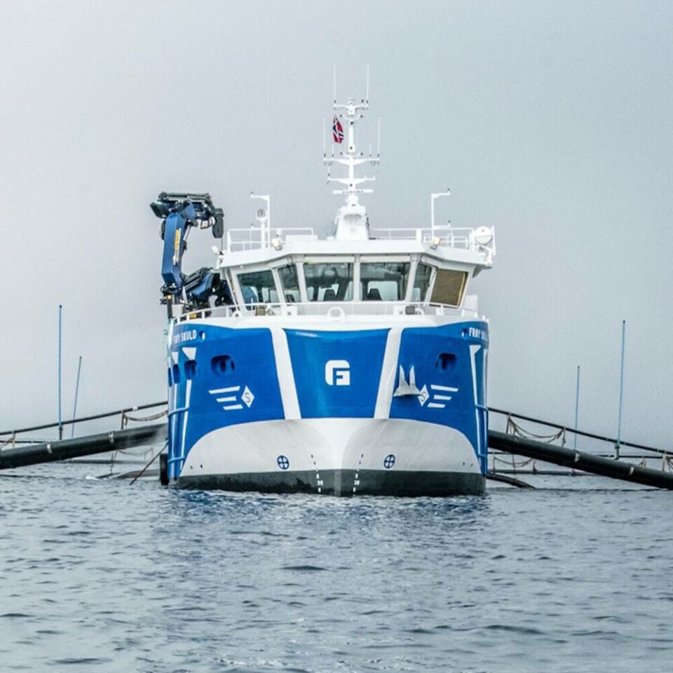 Rederiet Frøy har 13 fartøy under bygging. Foto: Frøy.