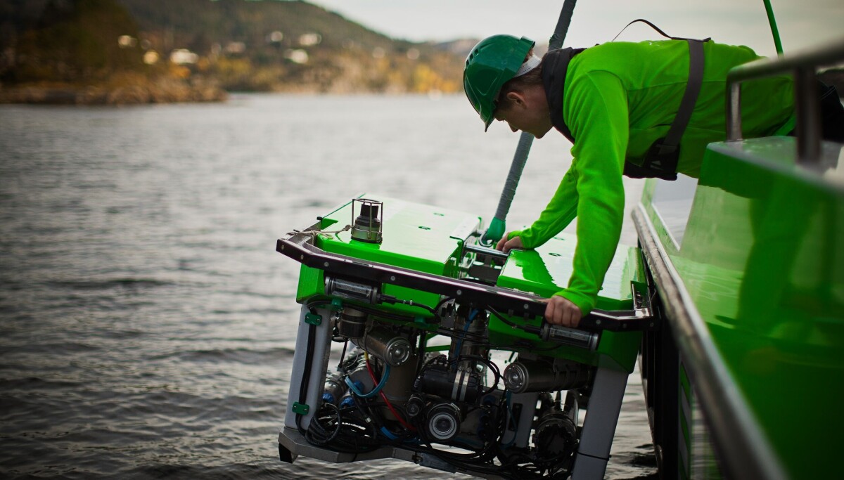 Rov AS øker kapasiteten - ansetter ytterligere tre