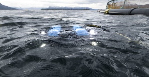 ROV-operatør om dårlig oppdagelse av hull i not: - Glad for fokuset