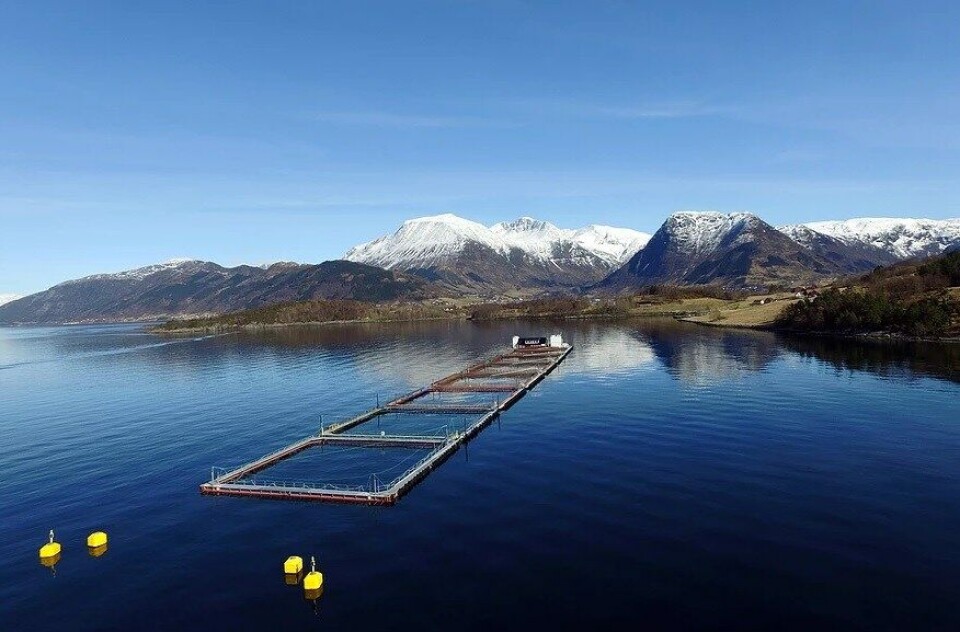 Lokaliteten Hågårdsneset på Snilstveitøy tilhøyrande Eide Fjordbruk, er i dag godkjent for ein mtb på 2340, noko oppdrettselskapet har søkt om at skal aukast til 3600. Foto: Eide Fjordbruk.