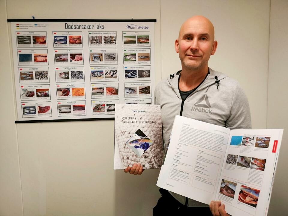- Det er kjempeviktig for norsk oppdretts fremtid at vi får ned dødelighetstallene, sier Per Anton Sæter i Marin Helse. Foto: Marin Helse.
