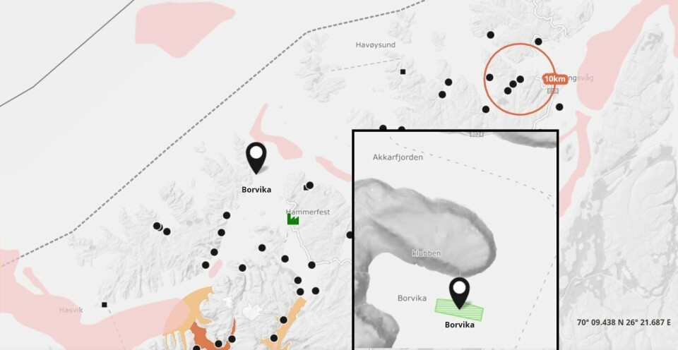 Fiskeridirektoratet mottok 16. januar 2020 melding fra Salmar Farming AS om rømming ved lokaliteten Borvika ved Sørøya. Kilde: Barentswatch.
