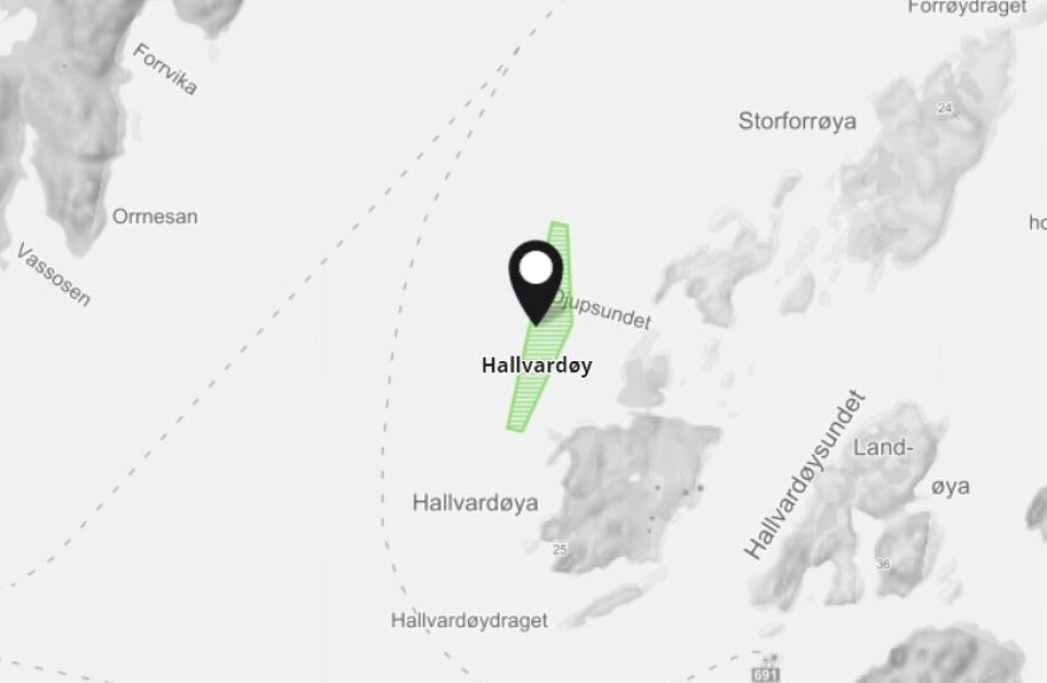Illustrasjonskart av Hallvardøy der rømmingen til Nordlaks skjedde nylig. Kart: Barentswatch.