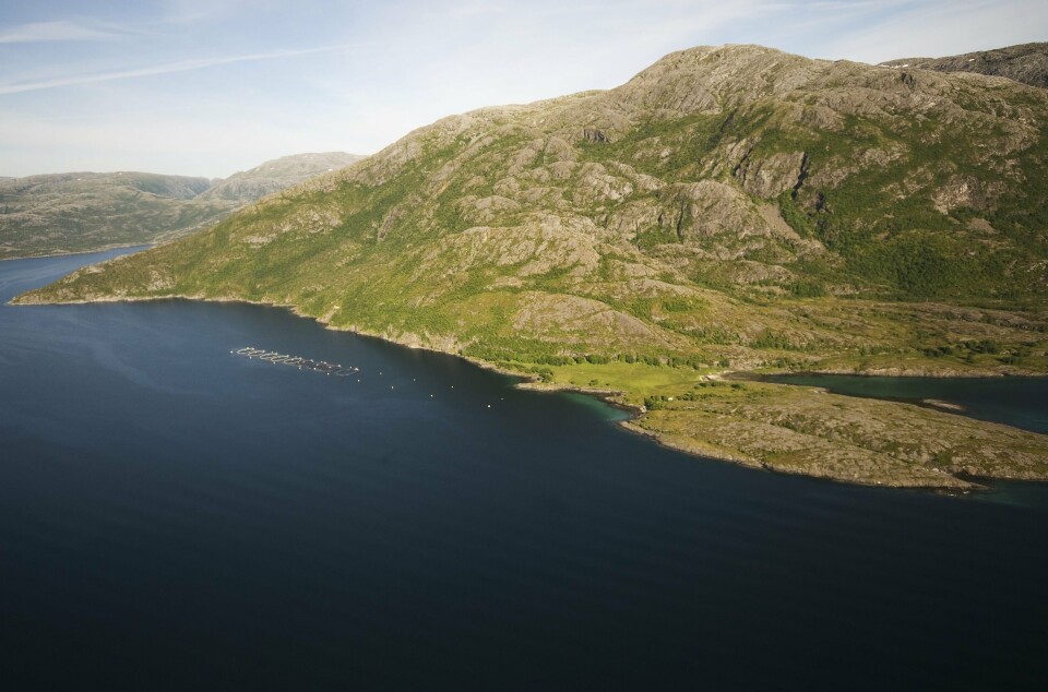 Nova Sea har oppdaget rømming ved lokaliteten Tjøtta.